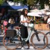 Vélo électrique Riese and Müller Swing Silent – Image 2